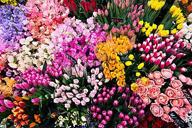 《堡垒之夜》联动《神秘海域》游戏和电影 2月18日正式上线